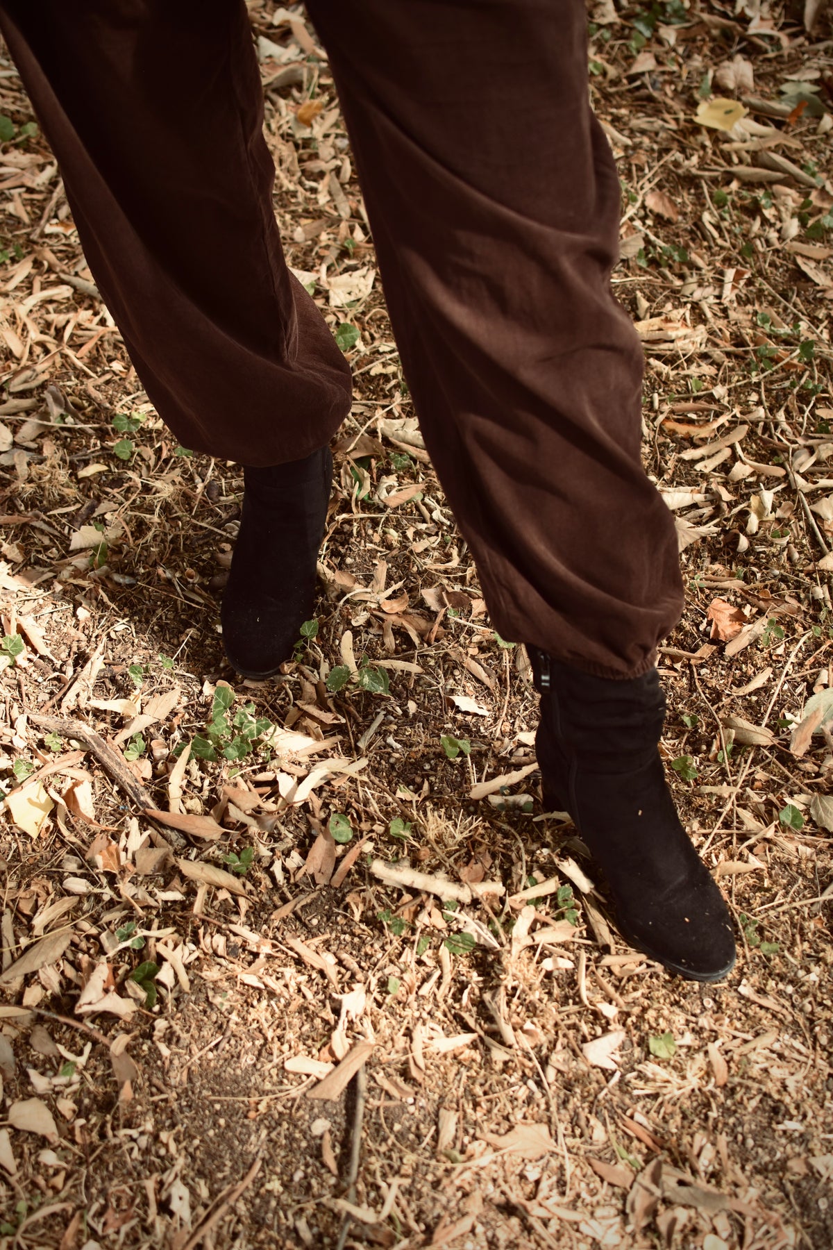 Pantalon en velours côtélé Chocolat - ceinture tressée